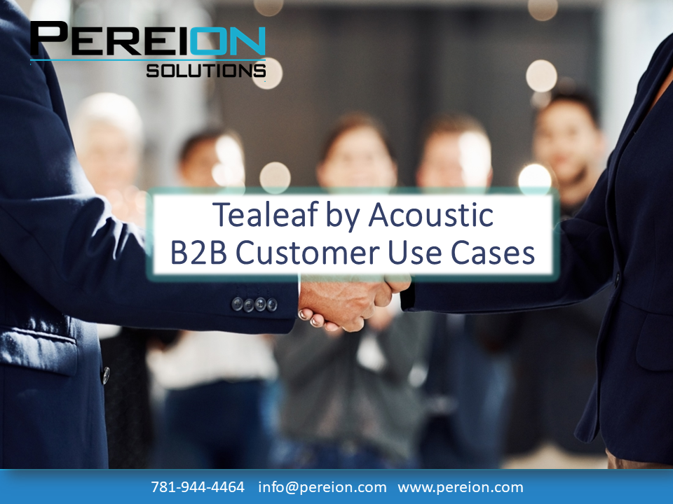 Tealeaf Customer Experience Analytic use case for B2B