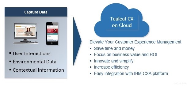 Tealeaf CX on Cloud.jpg